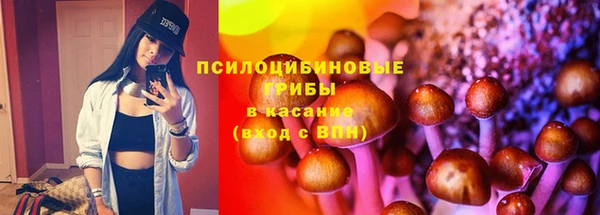 дмт Богданович