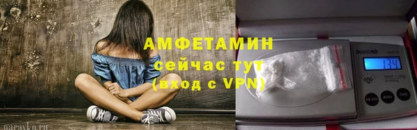 дмт Богданович