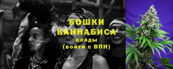 эйфоретик Тавда