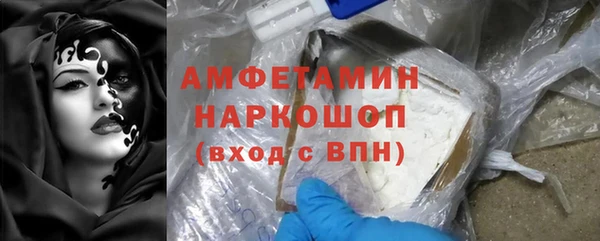 дмт Богданович