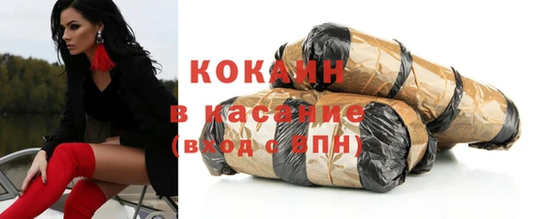 дмт Богданович