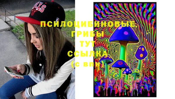 дмт Богданович