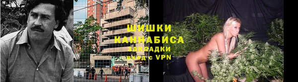 дмт Сясьстрой