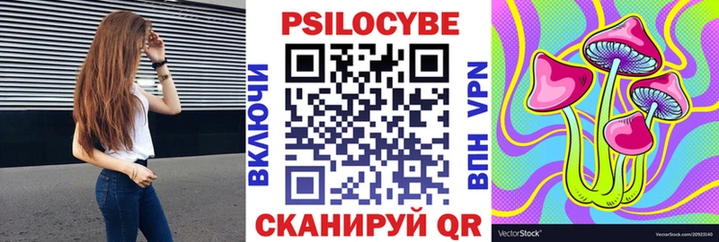 Псилоцибиновые грибы Cubensis  Купить закладки  Багратионовск 