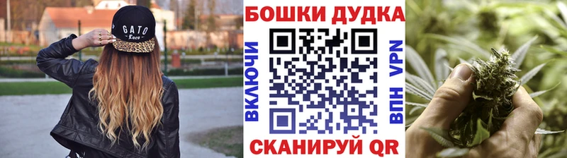 Купить закладки  Багратионовск  Бошки марихуана сатива 